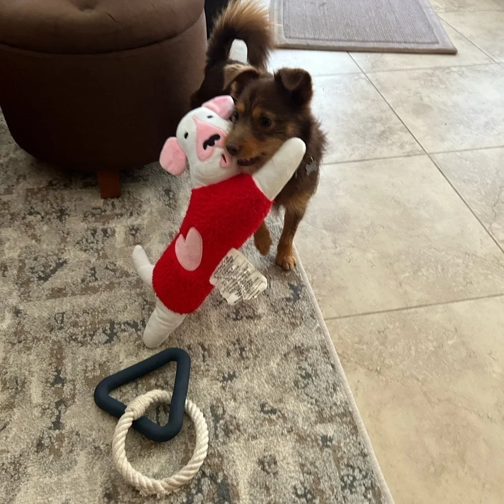 Dog Shaped Throw Pillow (or Dog Toy) w/Heart Sweater BRAND NEW